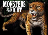 Monsters In The Night