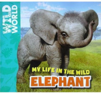 Wild Wrold: My Life In The Wild Elephant