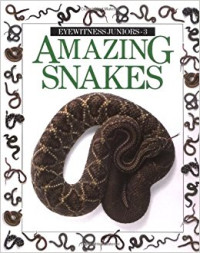 Amazing Snakes