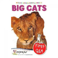 First Q & A: Big Cats