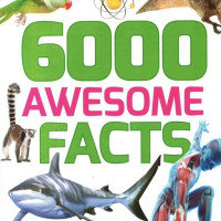 6000 Awesome Facts