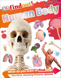 Findout! Human Body