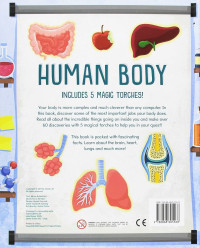 Image of Human Body