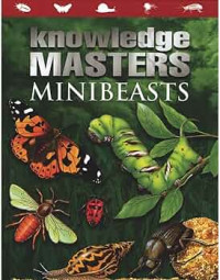 Knowledge Masters: Mini Beasts