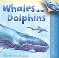 Whales and Dolphins